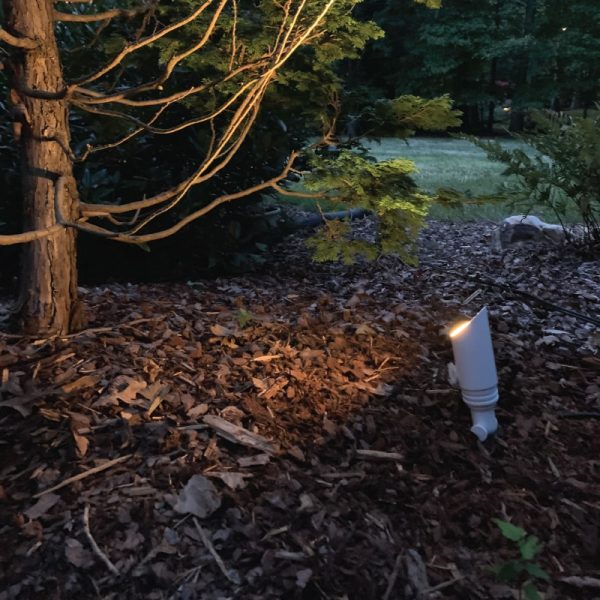 BL11 "Alexander" Mini Up-Directional Light - Image 5